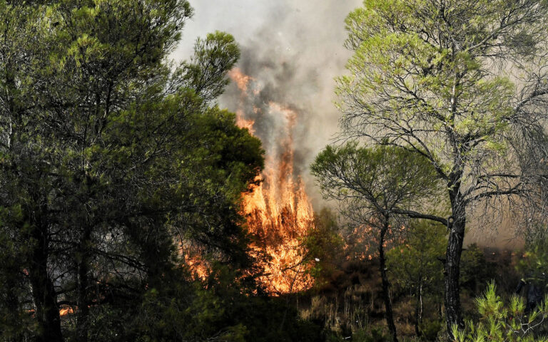 Κέρκυρα: Φωτιά τώρα στην περιοχή Αγιος Στέφανος – Μήνυμα από το 112 για εκκένωση