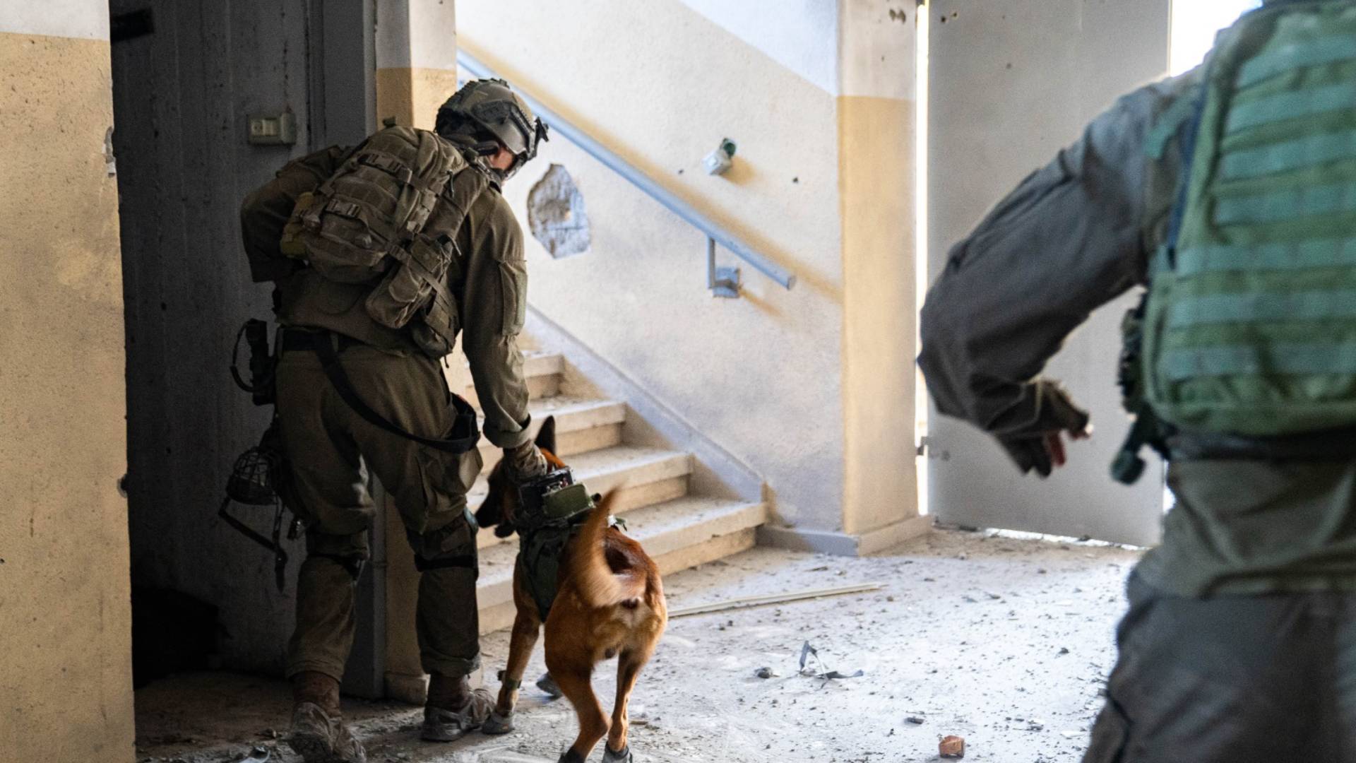 Τα «σκυλιά του πολέμου» στις επιχειρήσεις της Γάζας-1