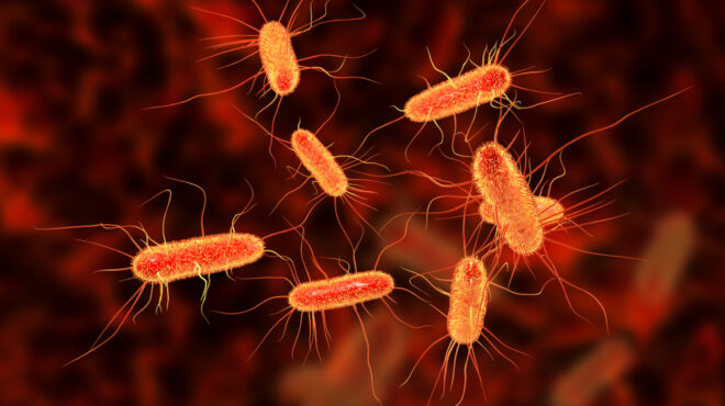 science-το-βακτήριο-e-coli-μπορεί-να-γίνει-ανθε-562751854