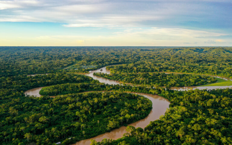 Αμαζόνιος: «Φρενάρει» η αποψίλωση των δασών