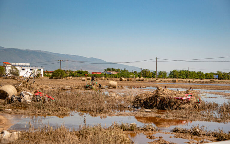 Θεσσαλία: Δυο νέα προγράμματα για την απώλεια αγροτικού εισοδήματος