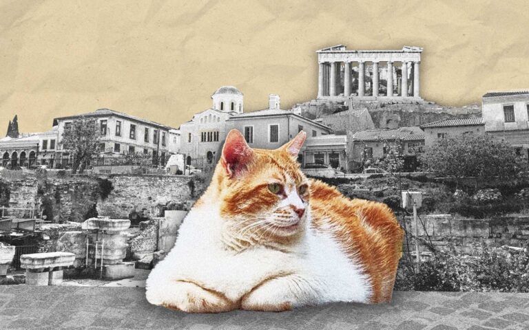 H γάτα της Ακρόπολης που έγινε αξιοθέατο στο Google Maps