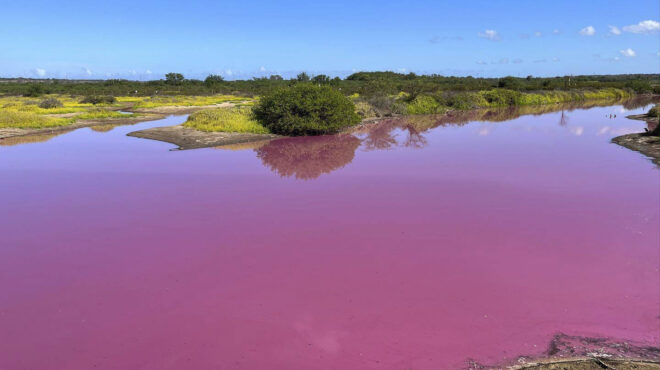 γιατί-βάφτηκε-ροζ-μια-λίμνη-στη-χαβάη-562721449