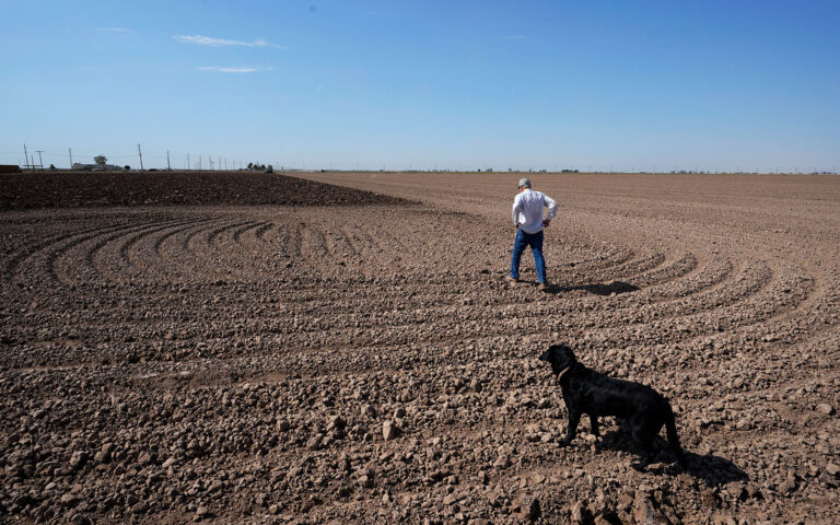 Ερευνες στις ΗΠΑ για καλλιέργειες ανθεκτικές στην ξηρασία
