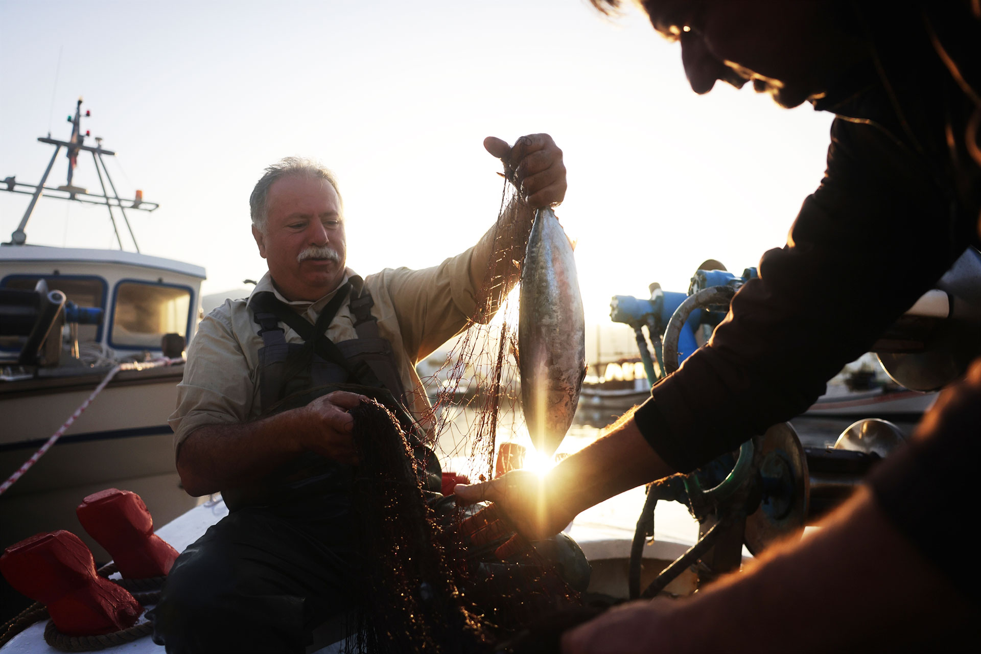 Οι ψαράδες της Αμοργού δείχνουν τον δρόμο στην πολιτεία-3