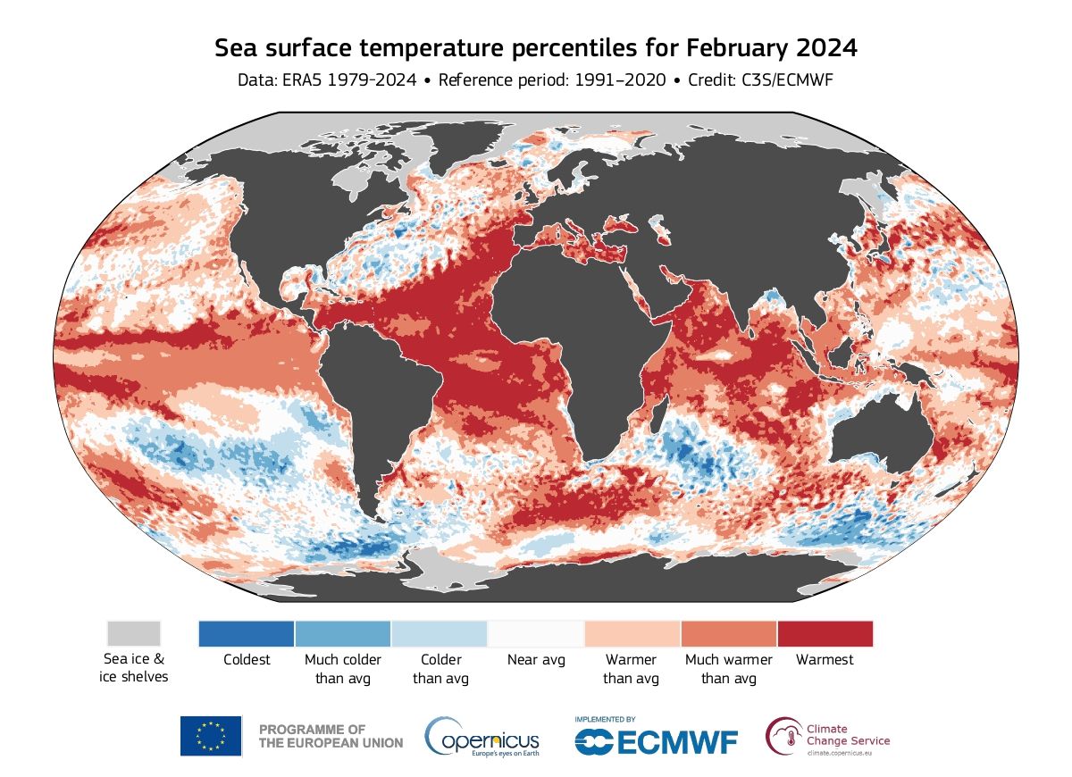 Οι θάλασσες της Γης σπάνε κάθε ρεκόρ θερμοκρασίας-1