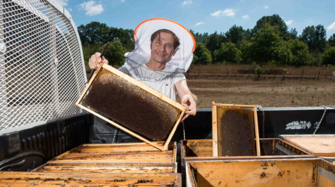 πώς-ξεχωρίζουμε-το-καλό-μέλι-ο-μελισσο-562914412
