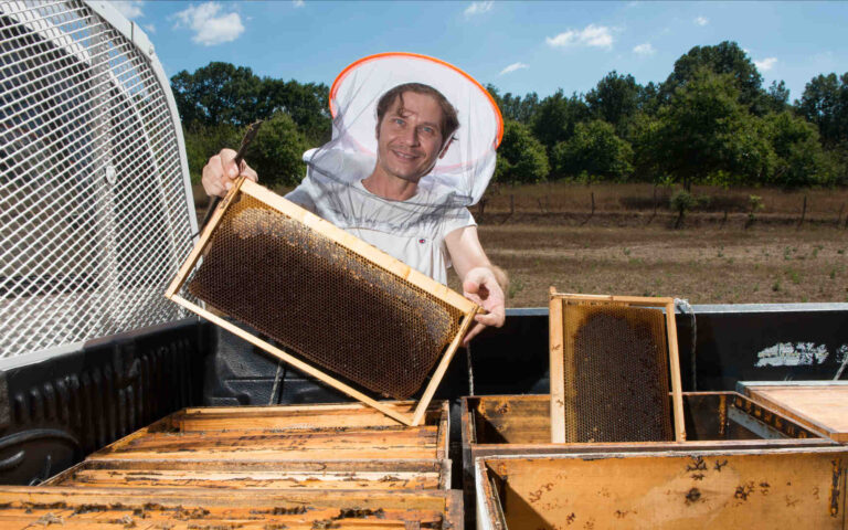Πώς ξεχωρίζουμε το καλό μέλι; Ο μελισσοκόμος Ανδρέας Ζαφειρόπουλος απαντά