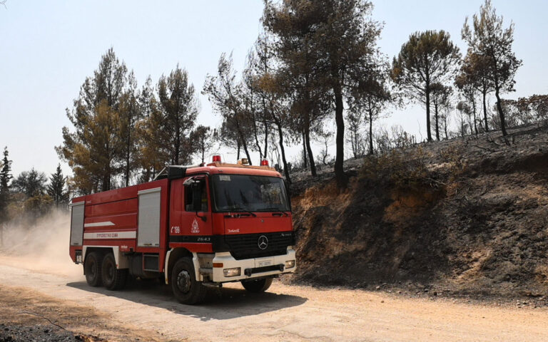 Βοιωτία: Πυρκαγιά σε αγροτοδασική έκταση